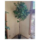 Extra Tall Faux Maple Tree, 112 Inches