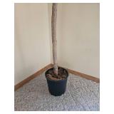 Extra Tall Faux Maple Tree, 112 Inches