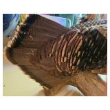Full Body Turkey Taxidermy Mount on Driftwood Display