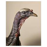 Limited Edition National Wild Turkey Federation Turkey Sculpture