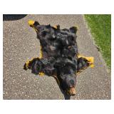 Black Bear Hide Rug with Felt Backing