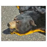 Black Bear Hide Rug with Felt Backing