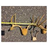 Decorative Deer Antler Mount Group
