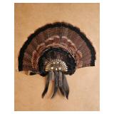 Turkey Feather Wall Fan Display with Tassel Accents