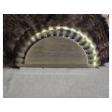 Mounted Turkey Feather Fan Display