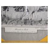 Signed Darcy Tate ÒHeads or TailsÓ Deer Print 69/300