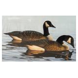 LLR - Vintage Phil Scholer Graceful Repose Canada Geese Signed Print 243/580 Framed
