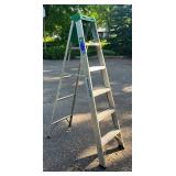 G - Werner Ladder Model 356 6 Ft 225 Lb