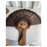 Turkey Fan