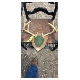 Antler Mount
