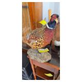 Pheasant Mount