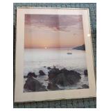 Framed Wildlife & Seascape Prints (Lot of 2)
