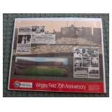 Wrigley Field 75th Anniversary Chicago Cubs Poster
