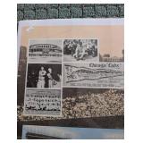 Wrigley Field 75th Anniversary Chicago Cubs Poster