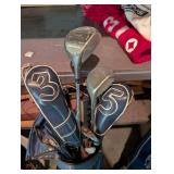 Golf Club Set in Stand Bag