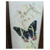 Vintage watercolor lithograph print, "Sunset Moth" by German artist B. Ballestar