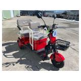 2026 SDLANCH Electric Tricycle Mini Golf Cart (IRGC40) - Red