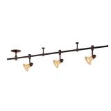 (2) RK60 Series 4 ft. 3-Light Oil-Rubbed Bronze Track Lighting Kit