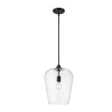 (2) Z-Lite 1 Light Pendant
