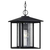 Hunnington 1-Light Outdoor Black Hanging Pendant Fixture