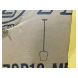 (2) Z-Lite 1 Light Pendant