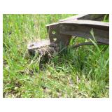 Antique Field Cultivator