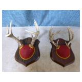 2 Mounted Deer Antlers