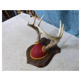 2 Mounted Deer Antlers