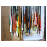 22 Assorted Arrows