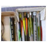 22 Assorted Arrows