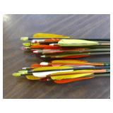 20 Assorted Arrows