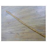 Walking Stick