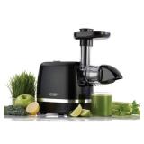 Cold Press 365-Black Slow Masticating Juicer