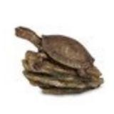 Aquascape Turtle on Log Spitter