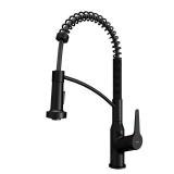 Scottsdale Matte Black Kitchen Faucet