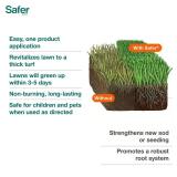 Safer Brand Lawn Restore Fertilizer 5000 sq ft