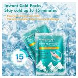 General Medi Ice Pack (4"x5.5")  100 Packs