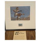 Vintage Richard Plasschaert Federal Duck Stamp Print Signed & Numbered Framed