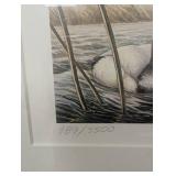 Vintage 1980 Minnesota Duck Stamp Print James a. Meger 989/3500