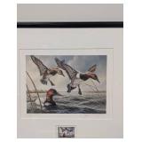 Vintage 1980 Minnesota Duck Stamp Print James a. Meger 989/3500