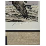 David a. Maass Signed Duck Print 457/22,250 Framed