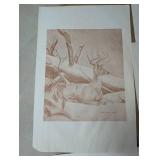Signed Wildlife Prints Debbi Marceau & Larry Green Mixed Lot of 5