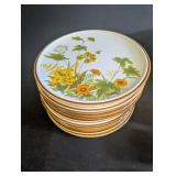 Vintage Mikasa Natural Beauty China Set C 9060