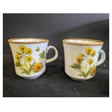 Vintage Mikasa Natural Beauty China Set C 9060