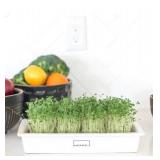 2 wPack HAMAMA Microgreens Growing Kit - Sprouts Growing Kit, Sprouting Kit