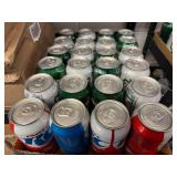 Variety of Pop in Cans