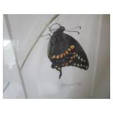 Butterfly Watercolor, Brenda F Behr