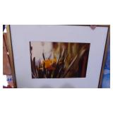 2 Botanical, Ross Rolshoven and Unknown Artist. Bennet Brien 1981 Signed Poster