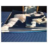 Jan 28th 1986 Challenger explosion prints