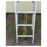 Aluminum Extension Ladder - Approx. 20ft